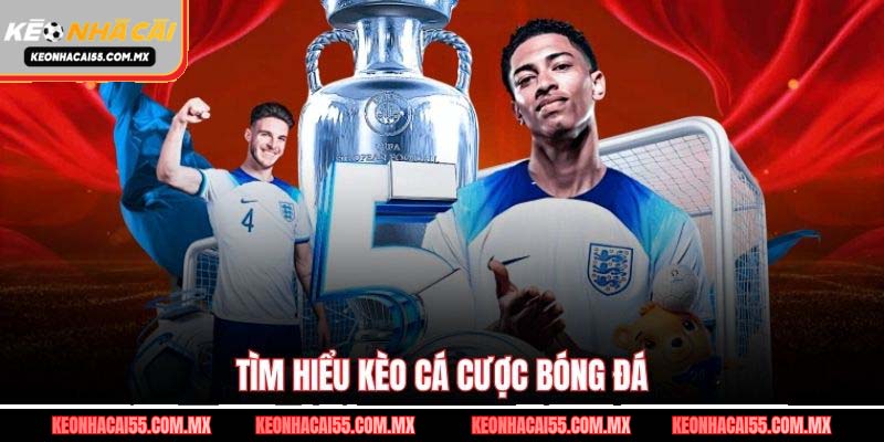 Tìm hiểu kèo cá cược bóng đá