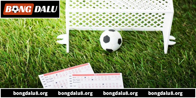 Bóng Đá Wap - Nền Tảng Dữ Liệu Bóng Đá Số Hàng Đầu