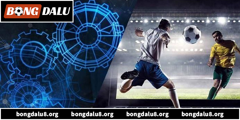 Giới thiệu chi tiết bóng đá tv