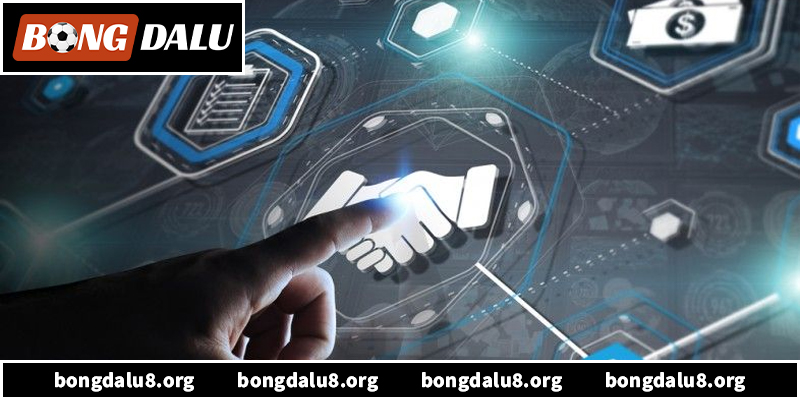 Khám phá chi tiết về điều khoản sử dụng