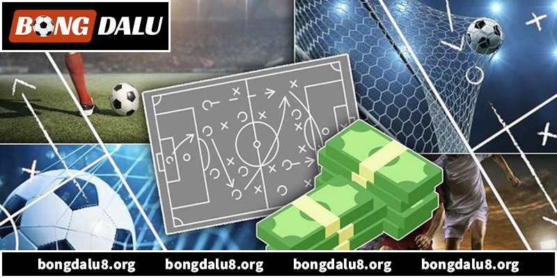 Khám phá toàn bộ về bảng xếp hạng