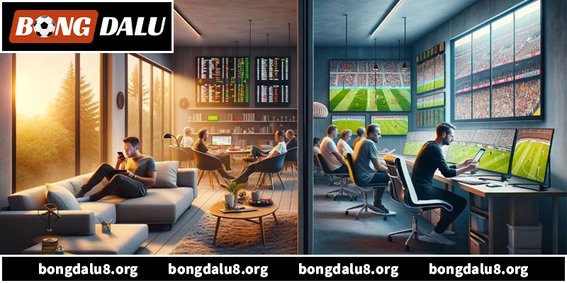 Link Bongdalu - Cách Truy Cập Nhanh Và Ổn Định Nhất